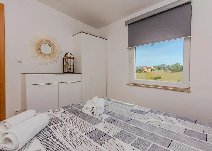Zenko Apartment Vir